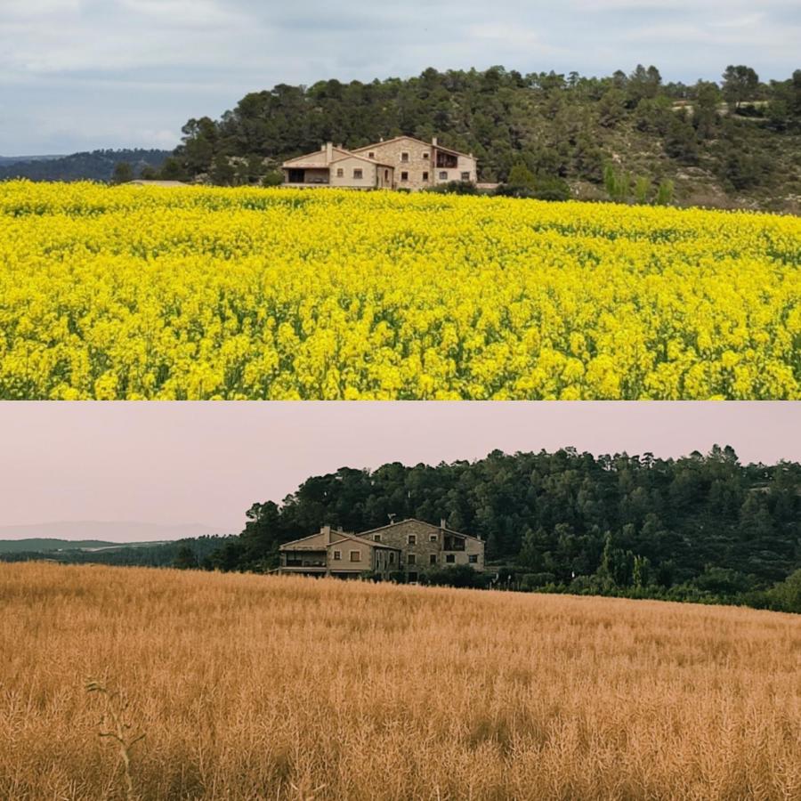 Bed and Breakfast Cal Ros Calonge de Segarra Екстер'єр фото